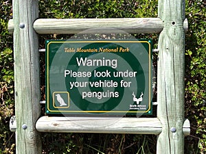 Penguin Sign - Table Mountain National Park