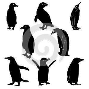 Penguin silhouettes