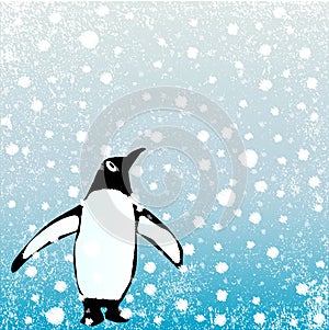 Penguin In The Snow