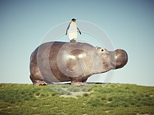 Penguin standing on baby hippopotamus. Friendship and social events concept