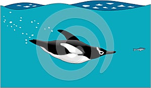 Penguin Swimming after Fish Illustration