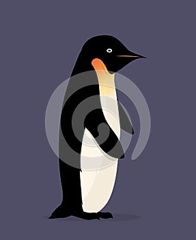 Penguin, vector illustration. Cartoon character