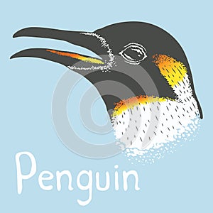 Penguin vector illustration