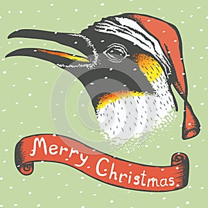 Penguin vector illustration