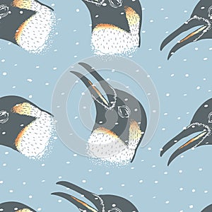 Penguin vector illustration