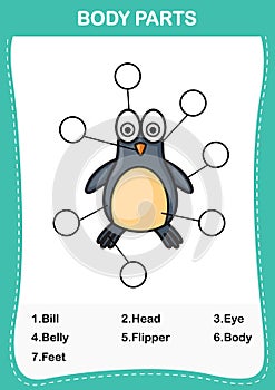 Penguin vocabulary part of body,Write the correct numbers of body parts