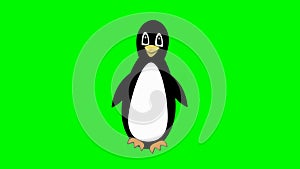 Penguin walking on green screen, cute mascot, bird cartoon isolated, beautiful talisman