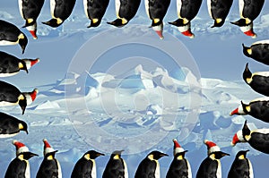 Penguin xmas card