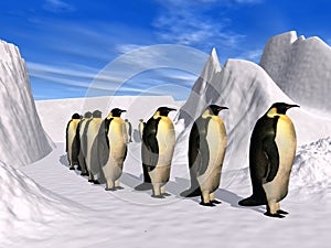 Penguins