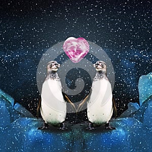 Penguins in the Arctic under the snow snowfall to hold each other`s hands, in the sky the planet`s heart, illustration