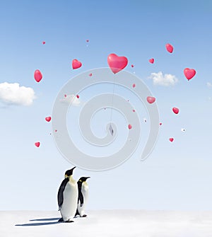 Penguins and Balloons