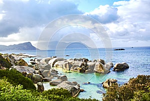 Penguins in boulder& x27;s beach cape-town south-africa with seaside