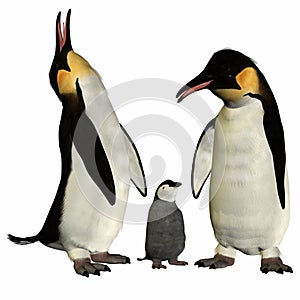 Penguins with Chick