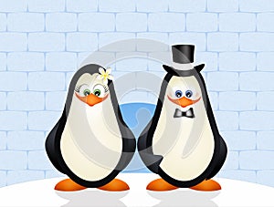 Penguins couple in love