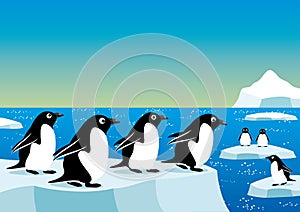 Penguins on an ice floe
