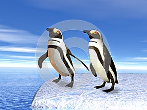 Penguins on an iceflow