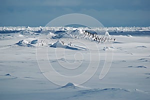 Penguins in icescape photo