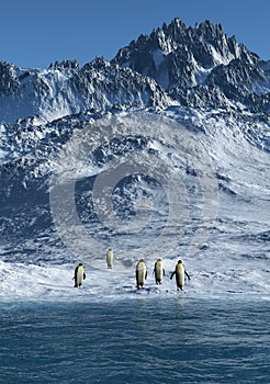 Penguins