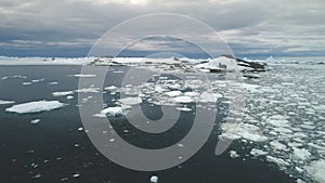 Penguins jumping in Antarctica ocean. Aerial shot.