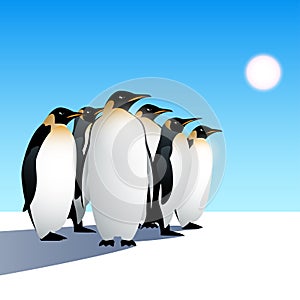Penguins