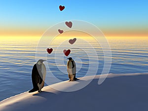 Penguins in love