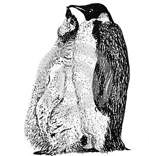 penguins in love kiss. graphics