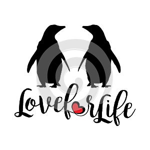 Penguins: love for life