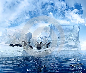 Penguins on melting ices floe photo