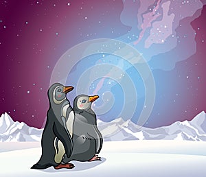 Penguins, mountains and night sky