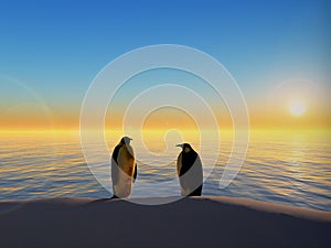 Penguins by ocean sunset