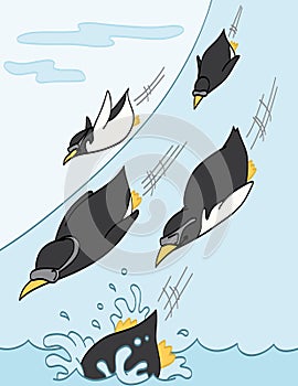 Penguins Sliding Downhill