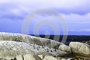 Penguins sun bathing on the rocks