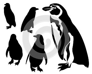 Penguins vector