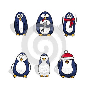 Penguins vector set. Isolated vector collection.