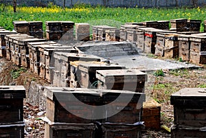 Pengzhou, China: Commercial Bee Hives