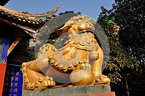 Pengzhou, China: Fu Dog Statue at Ci Ji Temple