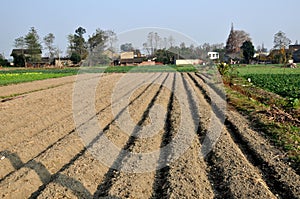 Pengzhou, China: Newly Plowed Fields on Sichuan Farm