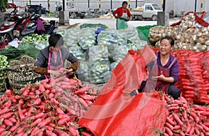 Pengzhou, China: Women Bagging Radishes