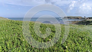 Peniche Over Flowers Into Ocean Aerial 4k