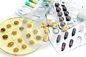 Penicillum colonies and different pills photo