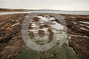 Peninsula de valdes, puerto madryn, patagonia argentina photo