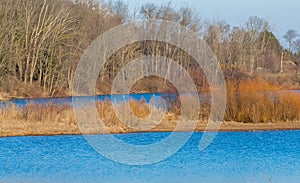 Peninsula on lake with trees on shoreline