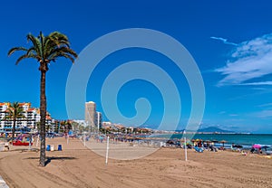 Peniscola beach Spain with volleyball net and plam tree Costa del Azahar photo