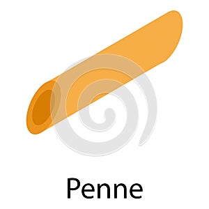 Penne icon, isometric style