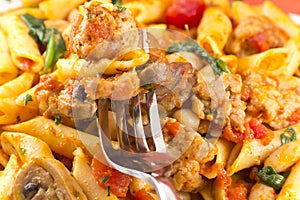 Penne Nostra Pasta with Mushrooms