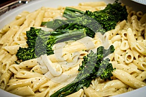 Penne Pasta with Broccolini, Lemon Pesto Cream