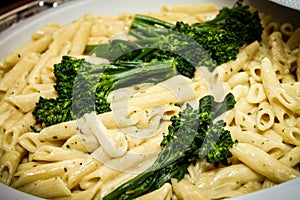 Penne Pasta with Broccolini, Lemon Pesto Cream photo