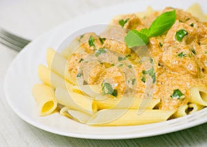 Penne pasta with chicken meat, cream sauce