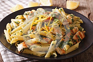 Penne pasta with grilled chicken, fresh herbs and lemon sauce cl