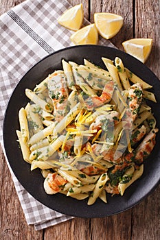 Penne pasta with grilled chicken, greens and lemon sauce close-up. Vertical top view